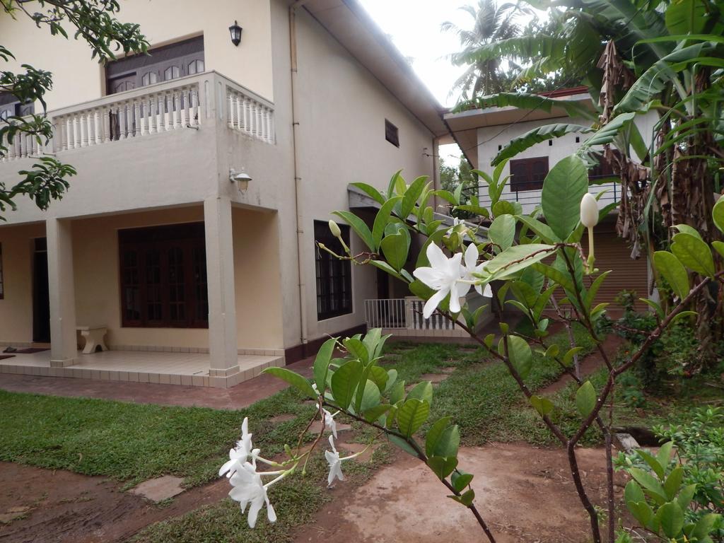 Mallika Guest House Hikkaduwa Exterior foto